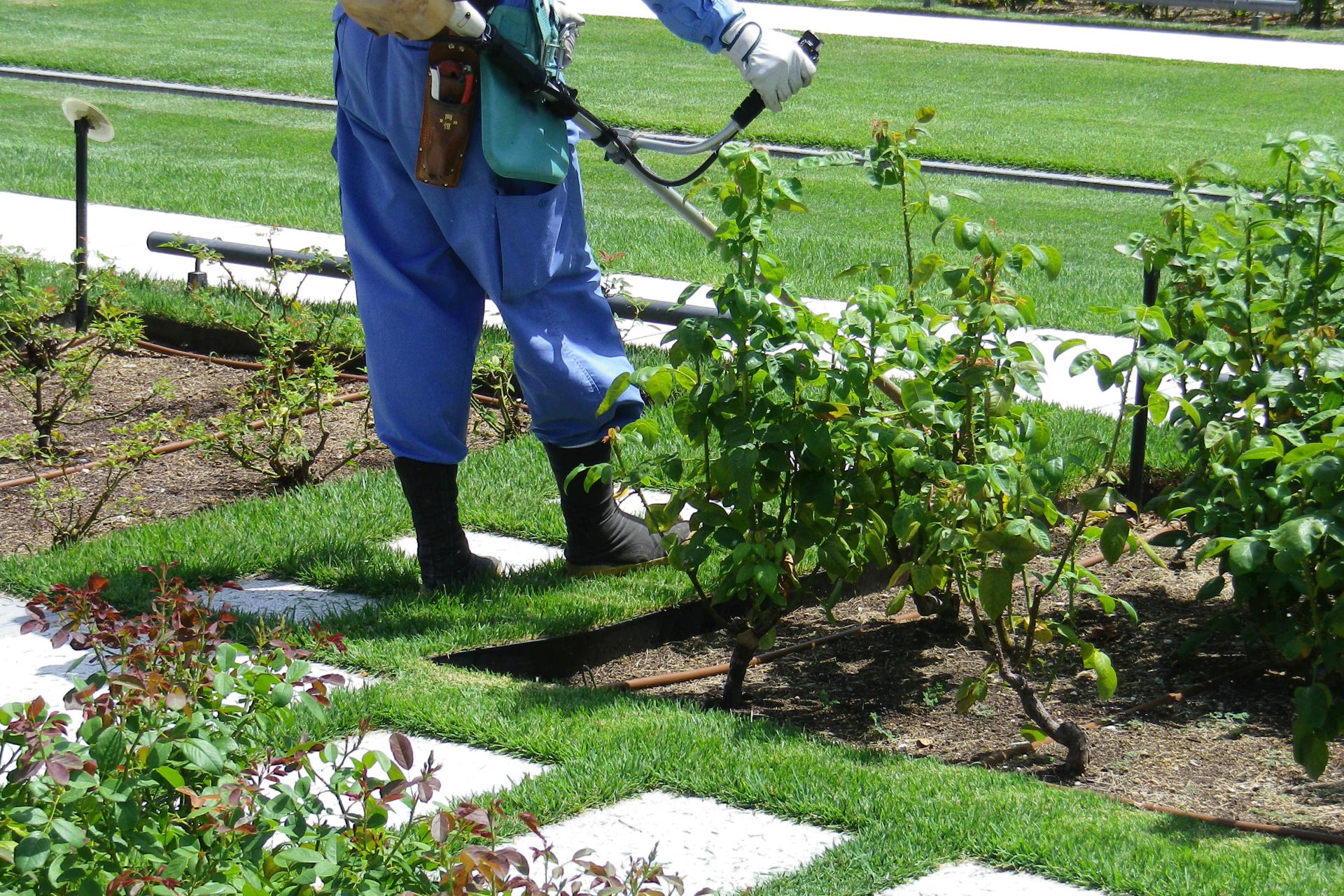 草刈工事のイメージ画像